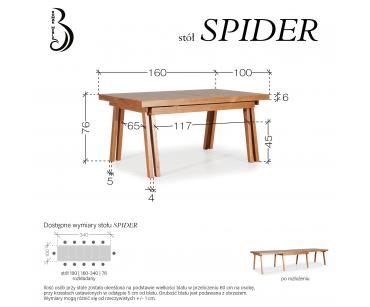 SPIDER