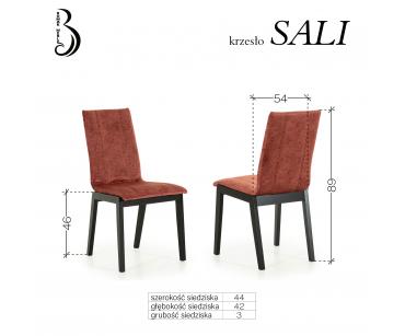 SALI