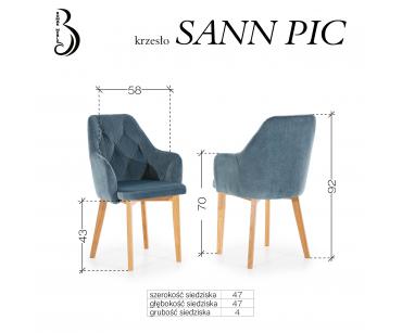 SANN PIC