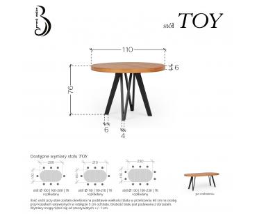 Toy